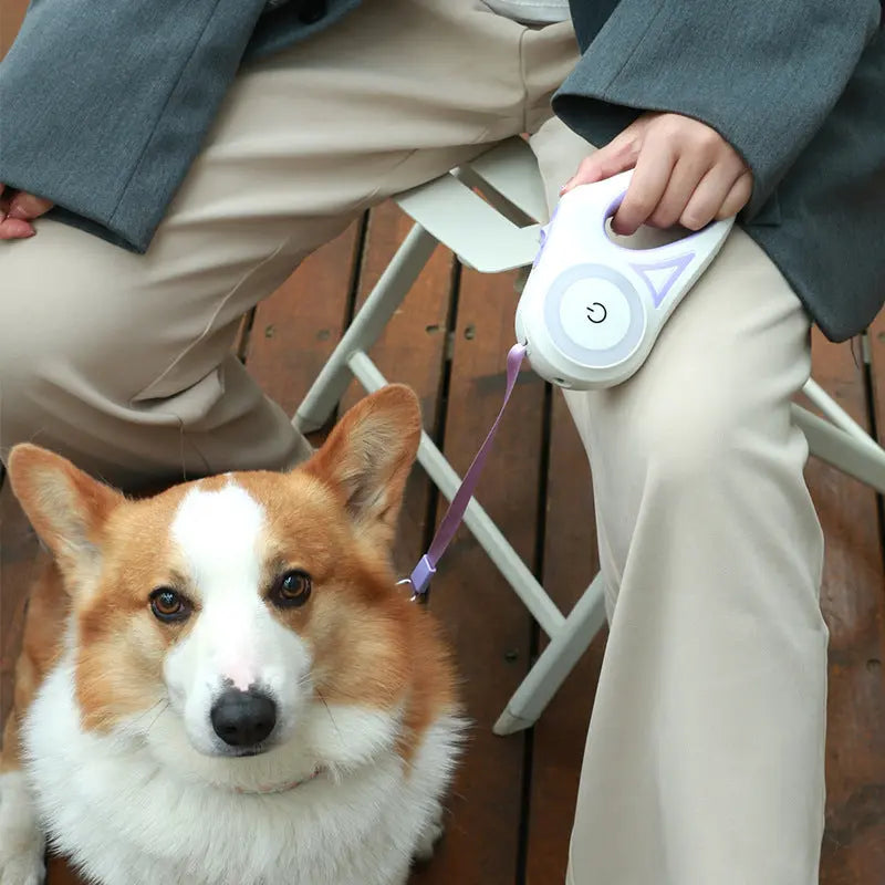 Dog Leash Retractable Leash And Dog Collar Spotlight Automatic Pet Dog Cat Traction Rope For Small Medium Dogs Pet Product - Woof Glow Gear
