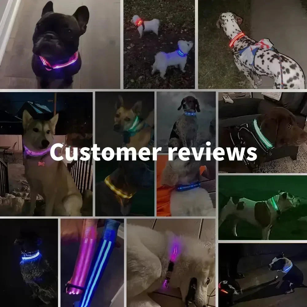 LED Glowing Dog Collar Adjustable Flashing Rechargea Luminous Collar Night Anti-Lost Dog Light HarnessFor Small Dog Pet Products - Woof Glow Gear