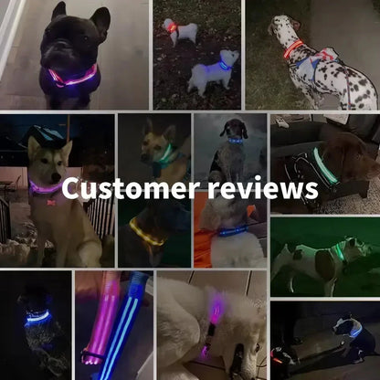 LED Glowing Dog Collar Adjustable Flashing Rechargea Luminous Collar Night Anti-Lost Dog Light HarnessFor Small Dog Pet Products - Woof Glow Gear