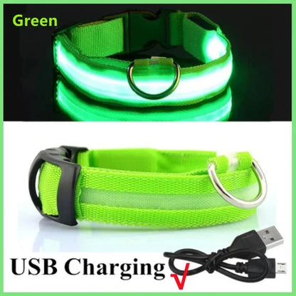 LED Glowing Dog Collar Adjustable Flashing Rechargea Luminous Collar Night Anti-Lost Dog Light HarnessFor Small Dog Pet Products - Woof Glow Gear