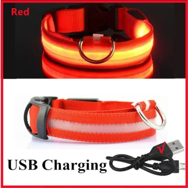 LED Glowing Dog Collar Adjustable Flashing Rechargea Luminous Collar Night Anti-Lost Dog Light HarnessFor Small Dog Pet Products - Woof Glow Gear