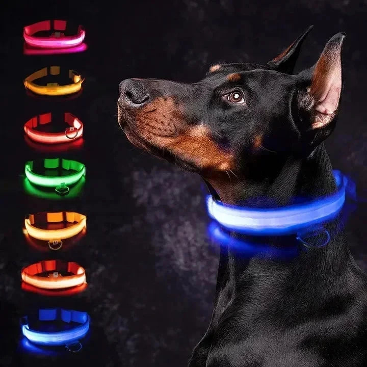 LED Glowing Dog Collar Adjustable Flashing Rechargea Luminous Collar Night Anti-Lost Dog Light HarnessFor Small Dog Pet Products - Woof Glow Gear