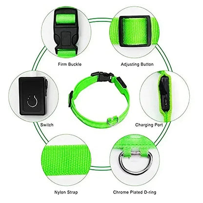 LED Glowing Dog Collar Adjustable Flashing Rechargea Luminous Collar Night Anti-Lost Dog Light HarnessFor Small Dog Pet Products - Woof Glow Gear