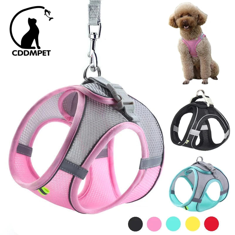 Dog Harness Leash Set for Small Dogs Adjustable Puppy Cat Harness Vest French Bulldog Chihuahua Pug Outdoor Walking Lead Leash - Woof Glow Gear