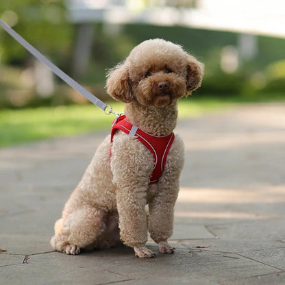 Dog Harness Leash Set for Small Dogs Adjustable Puppy Cat Harness Vest French Bulldog Chihuahua Pug Outdoor Walking Lead Leash - Woof Glow Gear