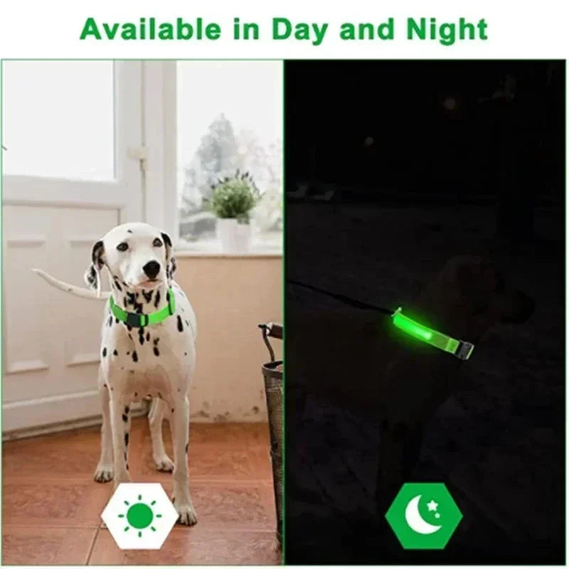 LED Glowing Dog Collar Adjustable Flashing Rechargea Luminous Collar Night Anti-Lost Dog Light HarnessFor Small Dog Pet Products - Woof Glow Gear