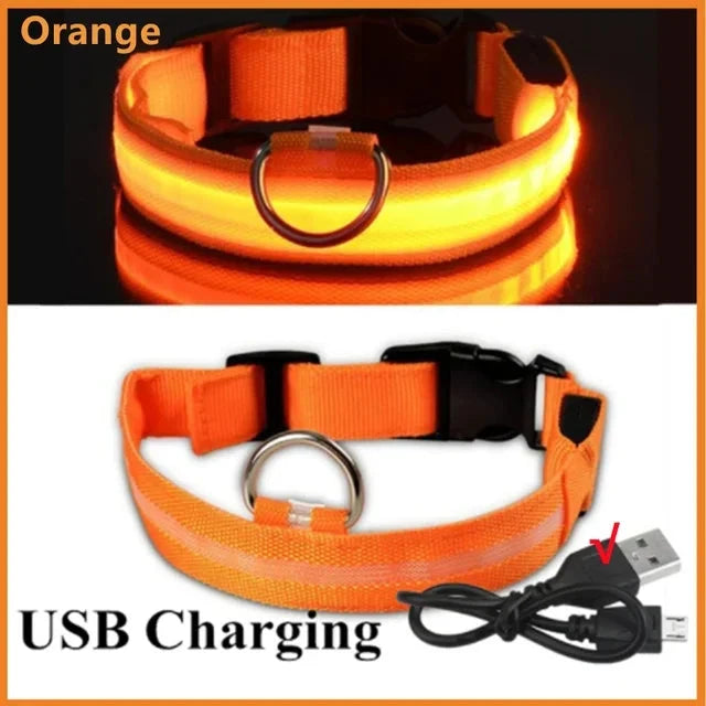 LED Glowing Dog Collar Adjustable Flashing Rechargea Luminous Collar Night Anti-Lost Dog Light HarnessFor Small Dog Pet Products - Woof Glow Gear