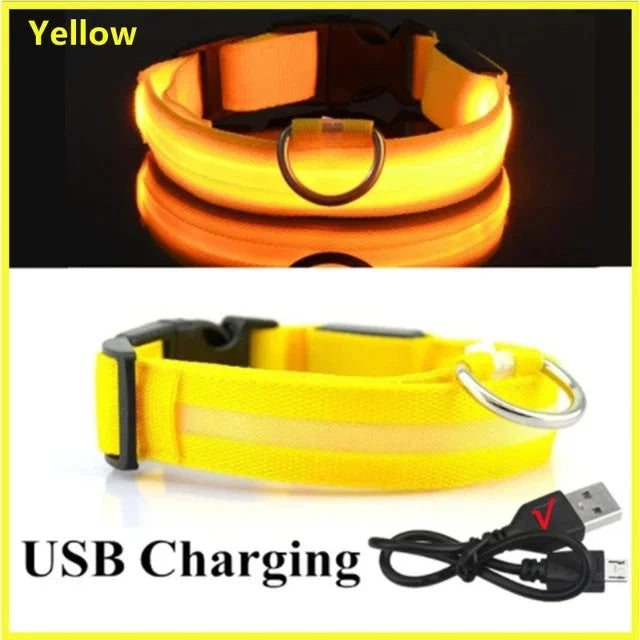 LED Glowing Dog Collar Adjustable Flashing Rechargea Luminous Collar Night Anti-Lost Dog Light HarnessFor Small Dog Pet Products - Woof Glow Gear