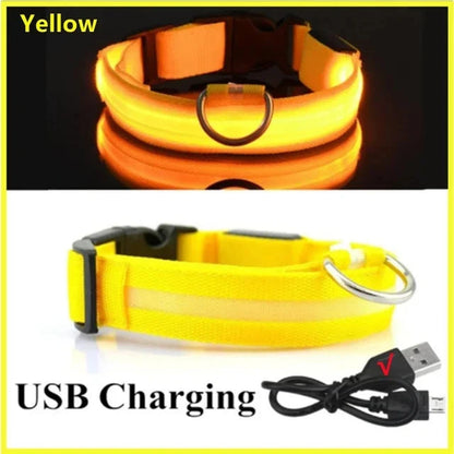 LED Glowing Dog Collar Adjustable Flashing Rechargea Luminous Collar Night Anti-Lost Dog Light HarnessFor Small Dog Pet Products - Woof Glow Gear